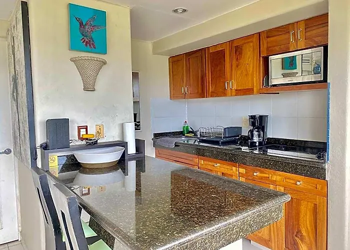 Elegant Beachfront In Monarca Ixtapa 4*