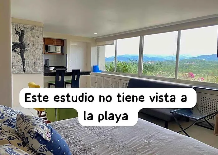 Elegant Beachfront In Monarca Ixtapa Hotel Zihuatanejo